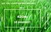MUST SALE 420 sqm (14m x 30m) LAND thumb