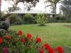 Beautiful Home on large block - Leeton thumb