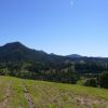 Stunning 360 degree views - Cedar Creek  thumb