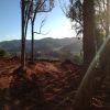 28 Acres Buffallo River - Myrtleford  thumb