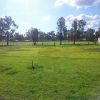 Grenfell 998m2 vacant block  thumb