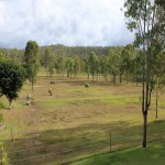 Ten acres in the beautiful Lockyer Valley - 4 bed mod home thumb