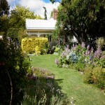 Tree change, 3 bedroom country cottage - Walcha Road thumb