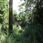 Gorgeous Daintree Rainforest Land with some unique opportunities !!Whyanbeel   thumb