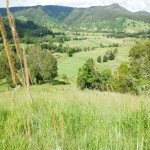 170 Acre cattle property situated in beautiful Cedar Pocket. thumb