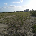 15 The Esplanade, Marion Bay SA thumb