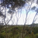 Sweeping views from elevated land - Rye thumb