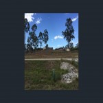 18 Beddome Ave, CALLIOPE QLD 4680 thumb