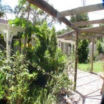 LUCKY NUMBER 98. LUCKY WILL BE THE BUYER OF THIS PROPERTY. DUAL LIVING POTENTIAL. DEVELOPERS DREAM.PERFECT LOCATION thumb